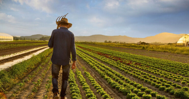 ΟΠΕΚΕΠΕ: Πληρωμές 13,1 εκατ. ευρώ σε 70.652 παραγωγούς