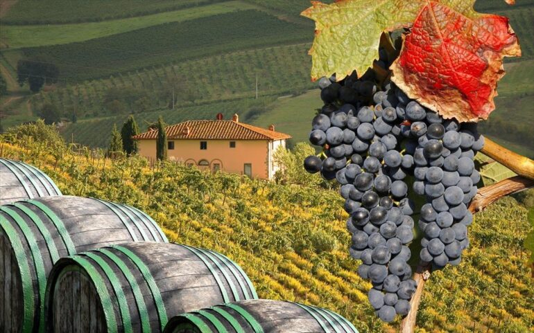 Ανάκαμψη στην παραγωγή οίνου μετά τη μεγάλη πτώση του 2024