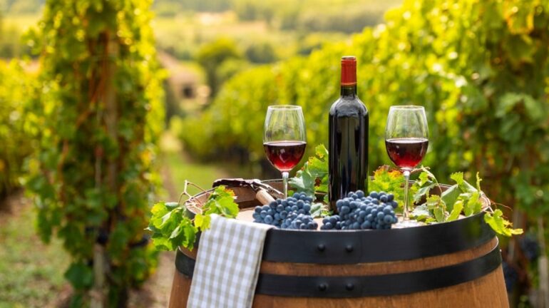 Πάνω από τις εξαγωγές οι εισαγωγές οίνου το 2025