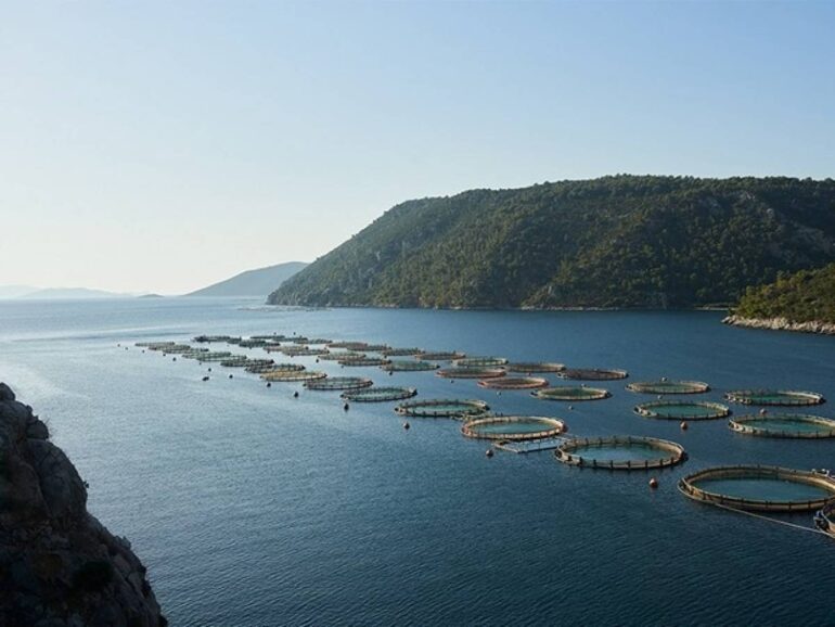 Η Mubadala Investment αποχωρεί από την Avramar