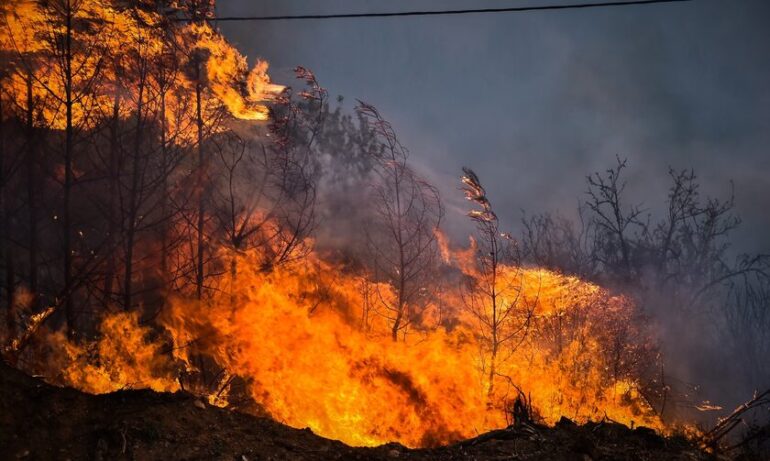 ΓΕΩΤΕΕ: Ημερίδα για τις Δασικές Πυρκαγιές στον Έβρο