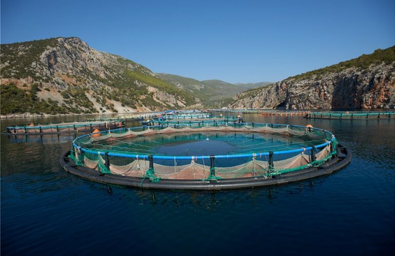 AVRAMAR: Tο τέλος ενός ακόμα σχεδίου για τις ιχθυοκαλλιέργειες και η αρχή… του επόμενου;