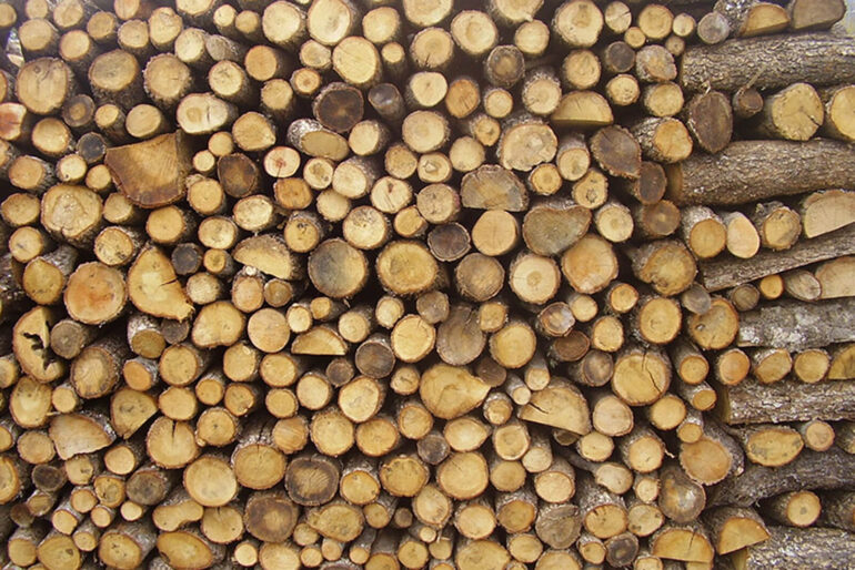 Καυσόξυλα: 40% πιο φθηνά σε σχέση με πέρυσι – Πού κυμαίνονται οι τιμές