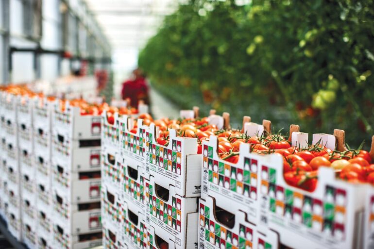 Θερμοκήπια Θράκης: Νέες επενδύσεις 14,5 εκατ. ευρώ για τη διετία 2024-2026