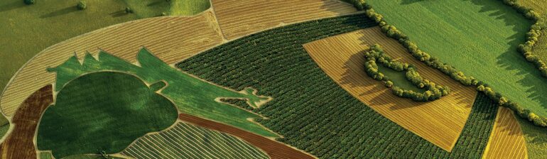 Εξαγορά – σταθμός της ΜΠΑΡΜΠΑ ΣΤΑΘΗΣ από την IDEAL Holdings