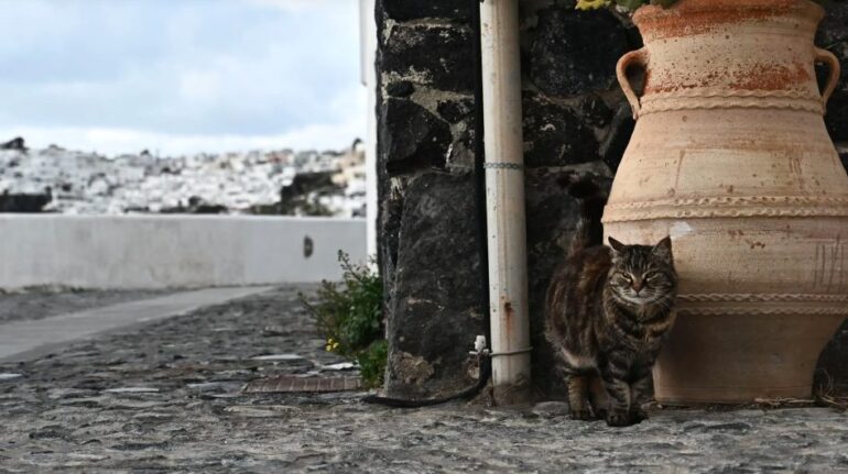 Δέκα σεισμικές δονήσεις μέσα σε μία ώρα στο τρίγωνο Σαντορίνης, Αμοργού, Ανάφης! 4,9 Ρίχτερ η ισχυρότερη