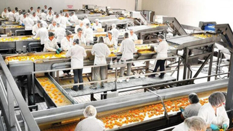 ΕΛΒΑΚ: Βουτιά στα κέρδη εν μέσω αναταράξεων στην οικονομία