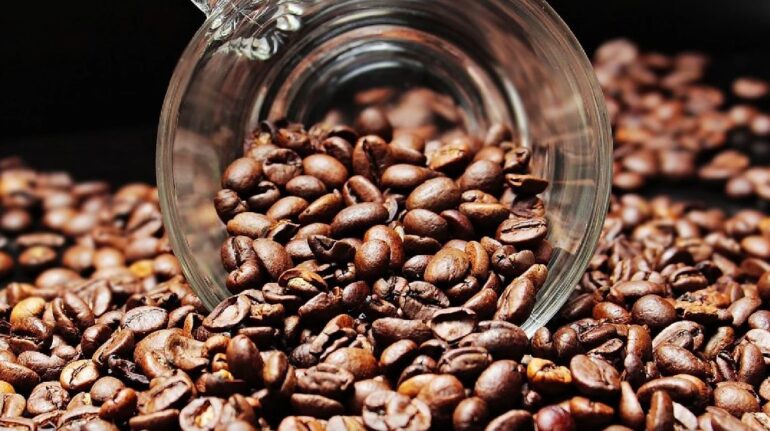 Η κλιματική αλλαγή απειλεί το κακάο της ΕΕ: Σήμα κινδύνου για την αλυσίδα τροφίμων