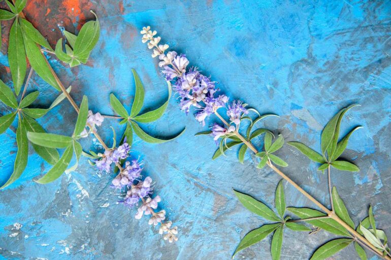 Η αξιοποίηση της ελληνικής βιοποικιλότητας όπλο για την υγεία