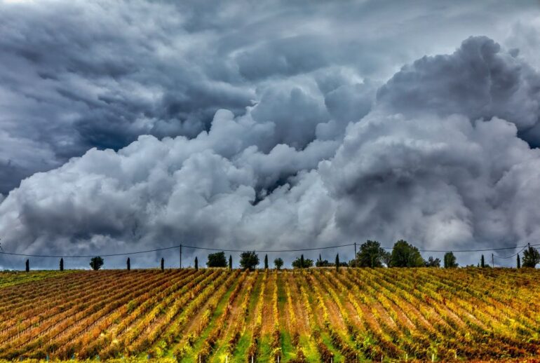 Εντείνονται οι τριγμοί στο Μαξίμου από το σκάνδαλο του ΟΠΕΚΕΠΕ