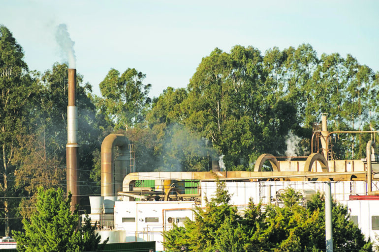 Τρεις πυλώνες στήριξης των μικρών επιχειρήσεων στο νέο Κλιματικό Σχέδιο