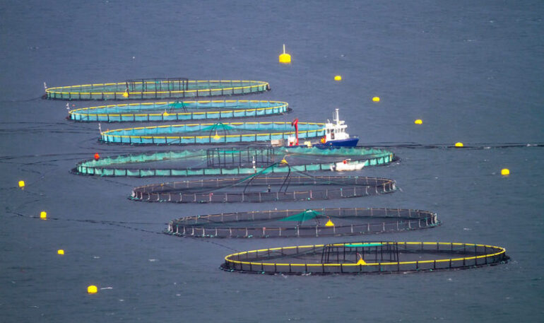 Ξεκινά νέο πρόγραμμα για τη Μεταποίηση Προϊόντων Αλιείας και Υδατοκαλλιέργειας