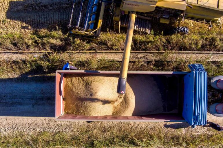 Καταρρέει η ελληνική ορυζοκαλλιέργεια