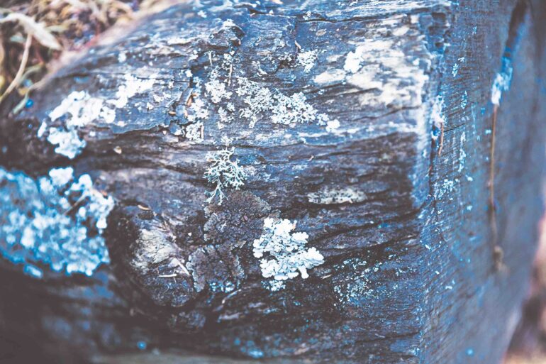 Η Ε.Ε. αποτυγχάνει  στον στόχο κρίσιμων πρώτων υλών