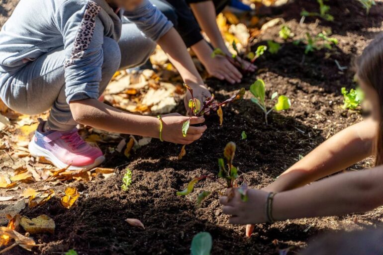 Carbon Farming Schools 2025: ΔΕΗ και Open Farm φέρνουν τη βιώσιμη γεωργία στα σχολεία
